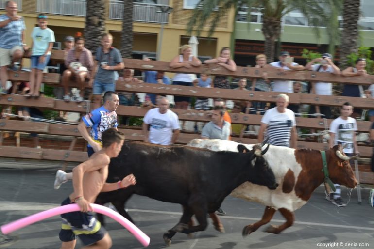 Última entrada de toros Fiestas Dénia 2018 - corredores junto a los toros