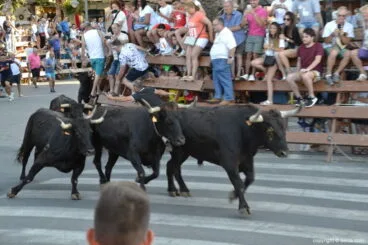 24 Bous a la Mar Dénia 2018 – Entrada de toros