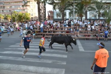 25 Bous a la Mar Dénia 2018 – Entrada de toros