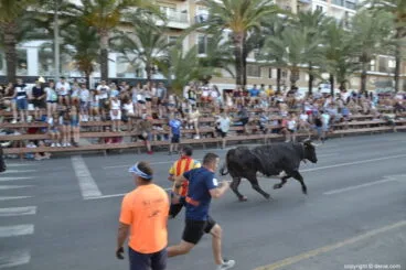 26 Bous a la Mar Dénia 2018 – Entrada de toros