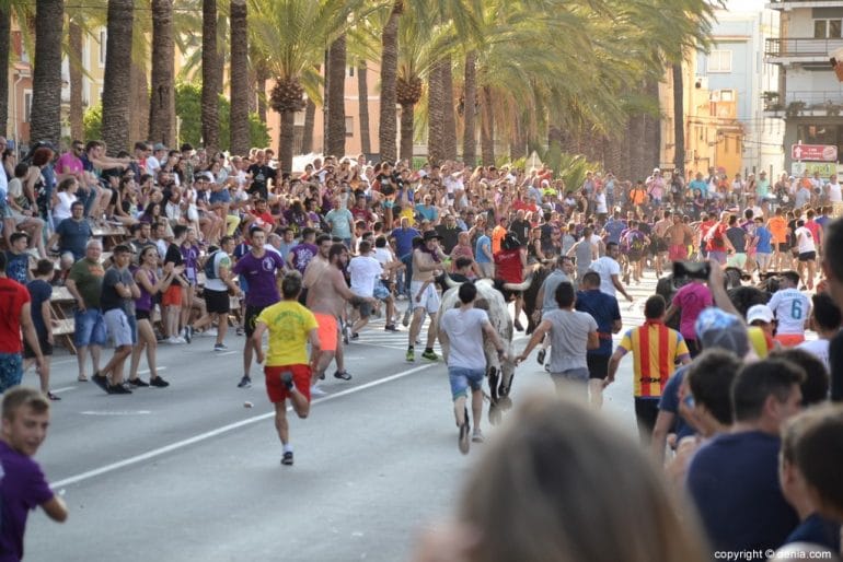 29 Bous a la Mar Dénia 2018 - Entrada de toros