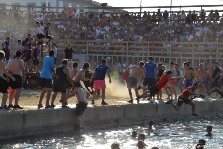 31 Bous a la Mar Dénia 2018 - Mozos en la Plaza de toros