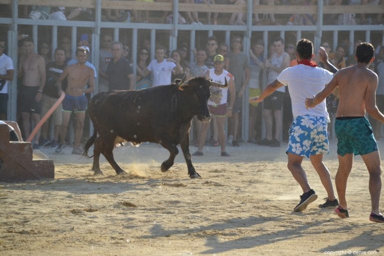 32 Bous a la Mar Dénia 2018 - Plaza de toros