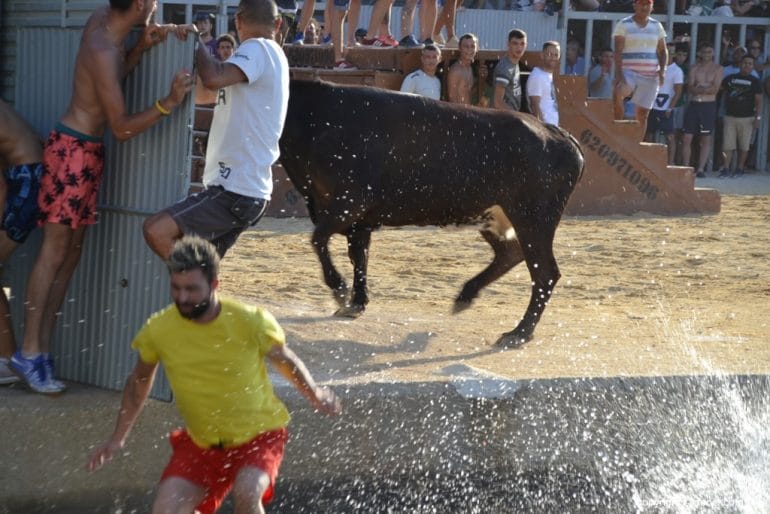 34 Bous a la Mar Dénia 2018 - Embiste