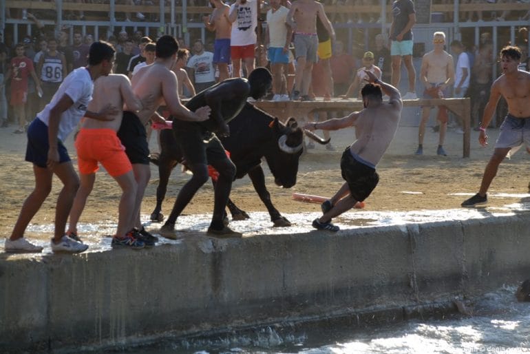 39 Bous a la Mar Dénia 2018 - Mozos al agua
