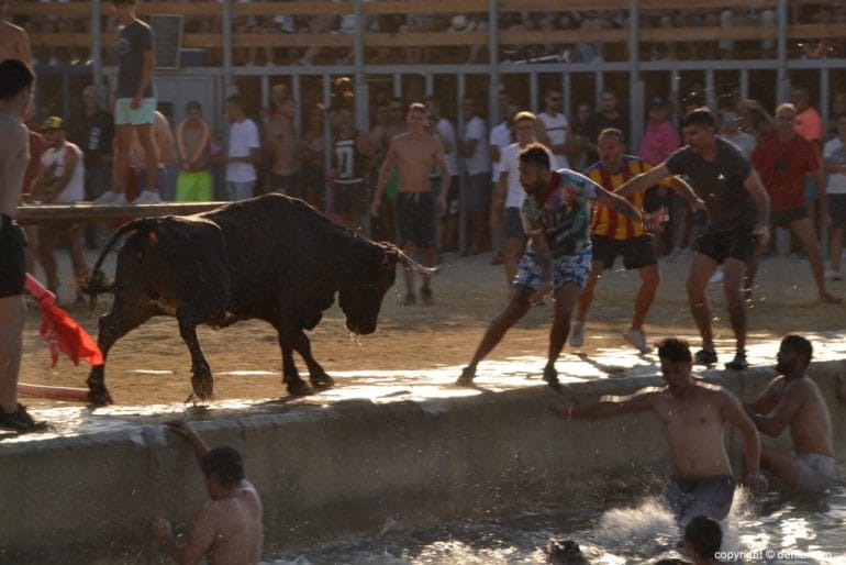 40 Bous a la Mar Dénia 2018 - Mozos al agua