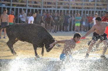 41 bous a la mar denia 2018 mozos al agua