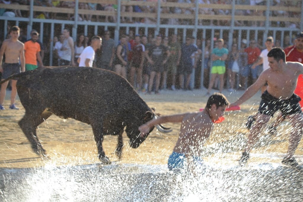 Dos traslados al hospital por cornadas tras la entrada de toros del lunes por la tarde 1 41 bous a la mar denia 2018 mozos al agua