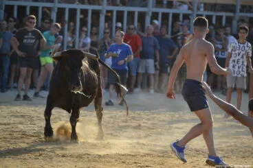 42 Bous a la Mar Dénia 2018 – En la plaza