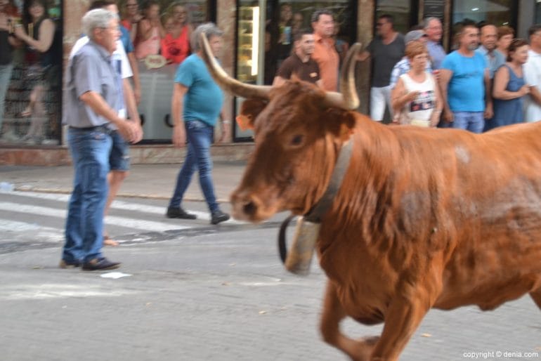 Primer día de fiestas de Dénia 2018 - Entrada de toros