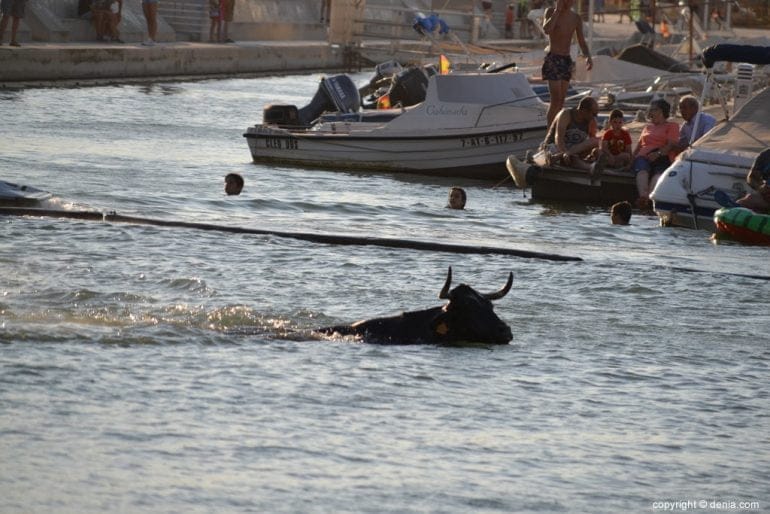 45 Bous a la Mar Dénia 2018 - Toro en el agua