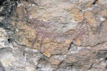 cova de la catxupa pintura rupestre