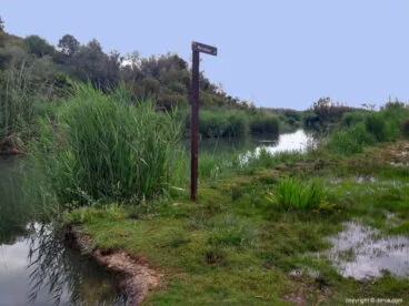marjal pego oliva