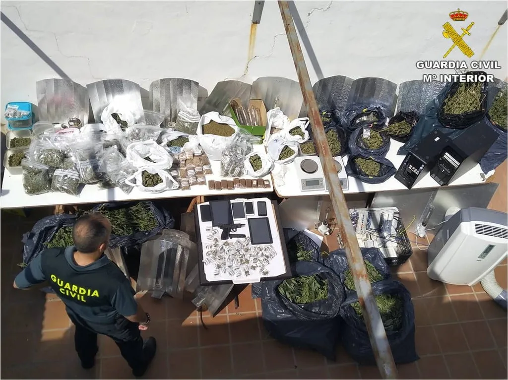 material incautado en las operaciones