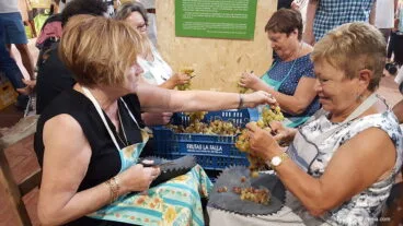 Mujeres escogiendo la uva