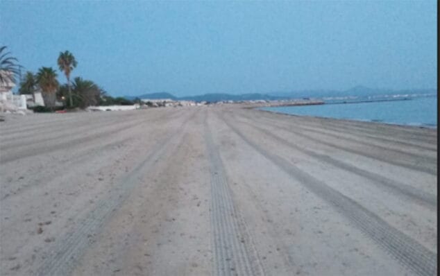 Desde el 10 de agosto se han retirado de las playas de Dénia 3.500 toneladas de algas 5 playa de lalmadrava