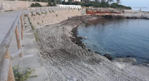 Desde el 10 de agosto se han retirado de las playas de Dénia 3.500 toneladas de algas 3 playa el gosset