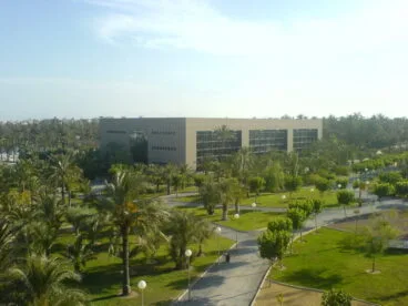 universidad miguel hernandez de elche