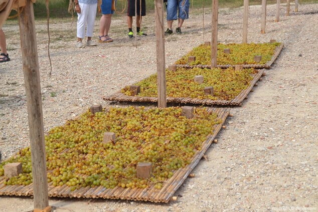 uva secando al sol