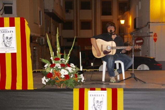 guitarrista en la festa estelles