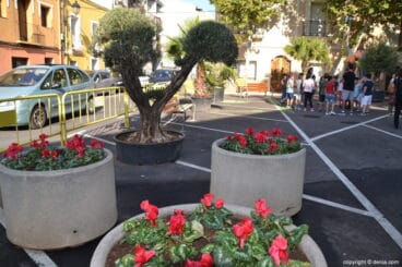 Maceteros y árboles en la plaza del Oeste