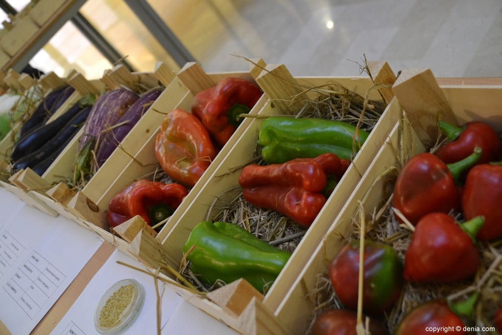 productos expuestos en el cdt de denia