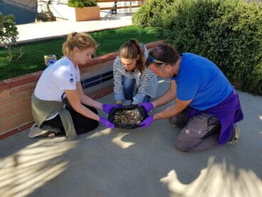 Colillas recogidas por los alumnos del Lady Elizabeth