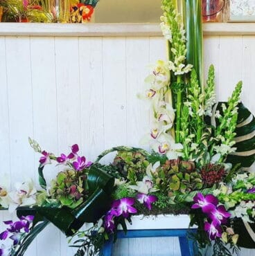 diversidad de orquideas floristeria azahar