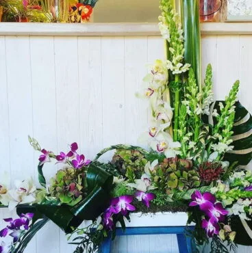 diversidad de orquideas floristeria azahar