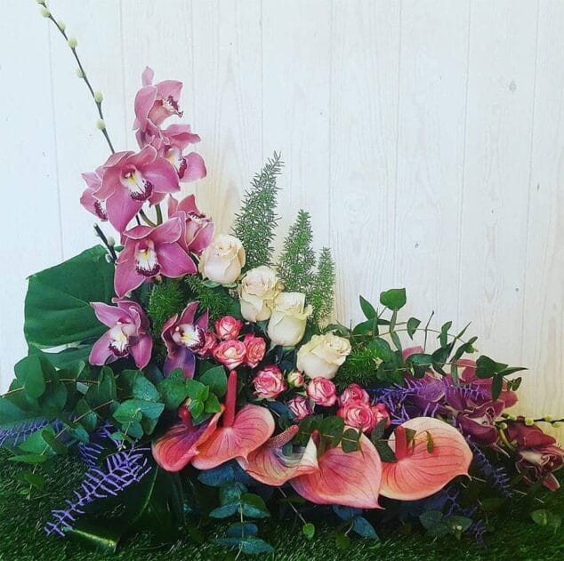 orquideas floristeria azahar