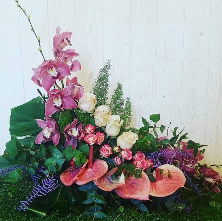 Orquideas Floristería Azahar