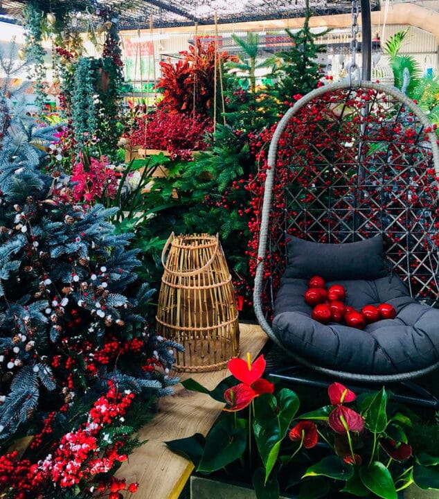 abetos navidad natura garden