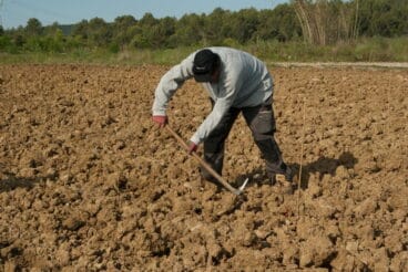 agricultor