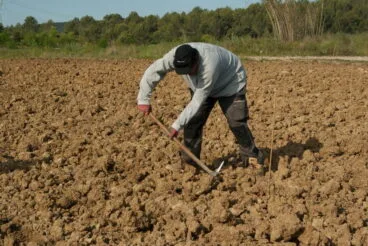 agricultor