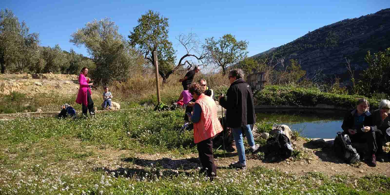 Senderismo en el Pla de Petracos: entre pinturas rupestres y bosque de carrascas 2 excursion al pla de petracos