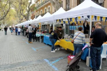 Feria de Asociaciones en la calle Campos
