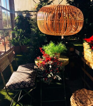 flores de pascua natura garden