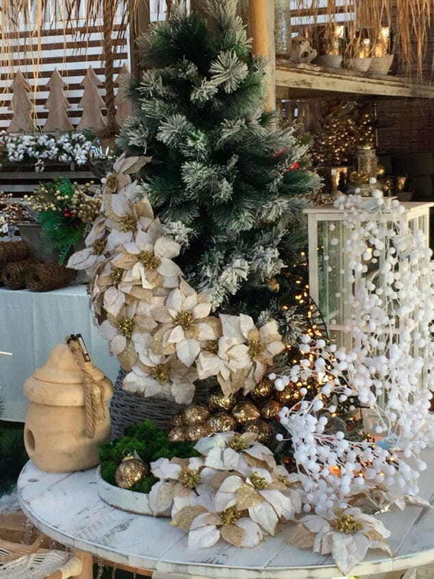 flores navidenas natura garden