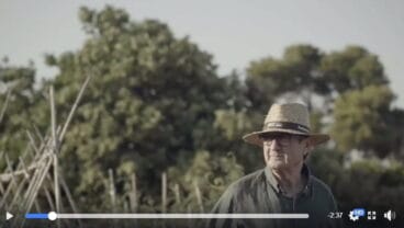 pep romany en a punt