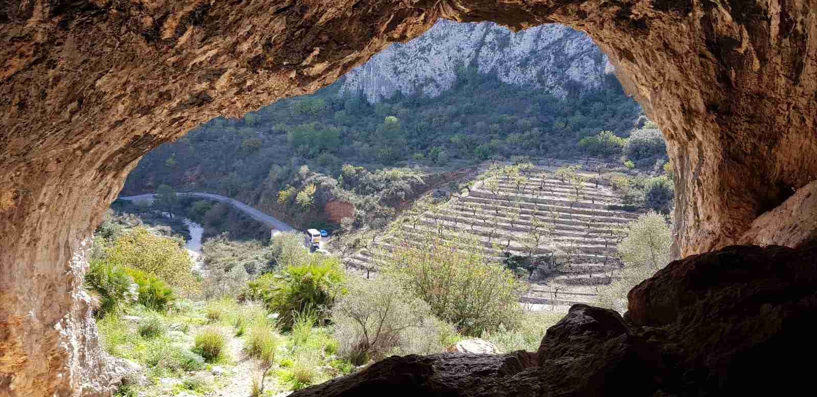 Senderismo en el Pla de Petracos: entre pinturas rupestres y bosque de carrascas 1 senderismo en el pla de petracos