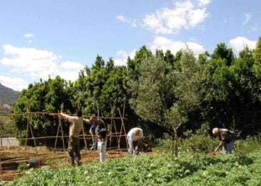 agricultores denia
