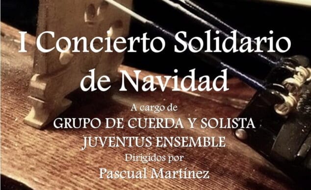 concierto solidario
