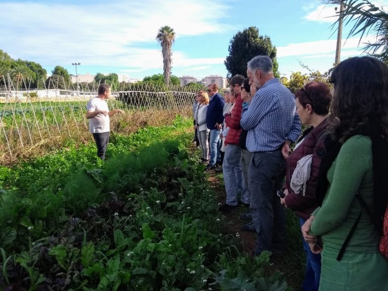 Participantes en la visita agrícola