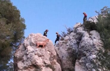 rescate de una cabra en xabia