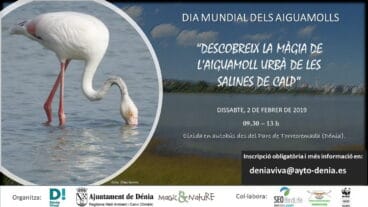 dia mundial de los humedales