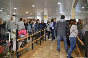 Inauguración nueva biblioteca Dénia – entrada
