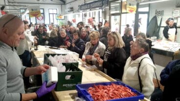 campana de promocion de la gamba de denia
