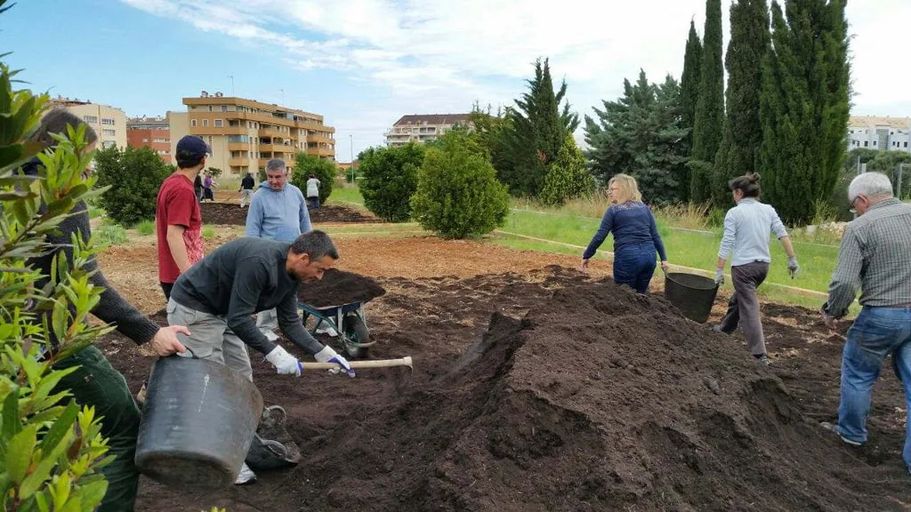 Dénia sigue apostando por la formación gratuita en diferentes áreas de la agricultura 1 curso de agricultura ecologica denia
