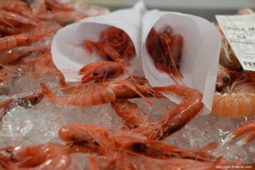 tapas de gamba de denia en el mercat municipal