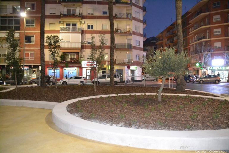 06 Plaza Archiduque Carlos Dénia - olivo